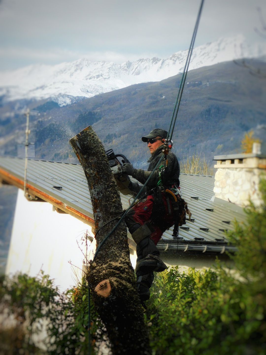 Réalisations - Abattage - Haute Savoie