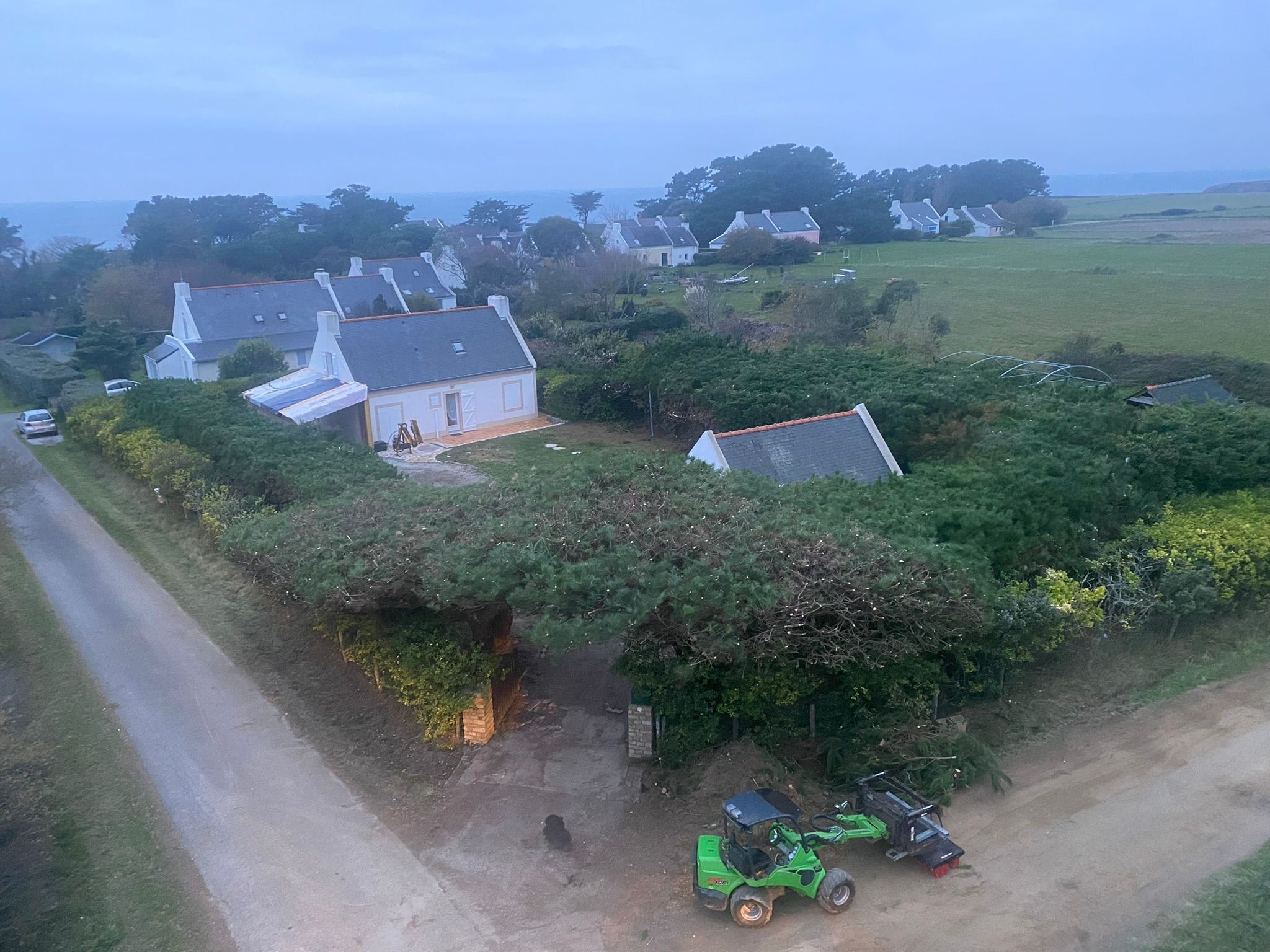 Réalisations - Taille de haie - Belle-Île-en-Mer - après